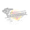 ICU | Grassrootz